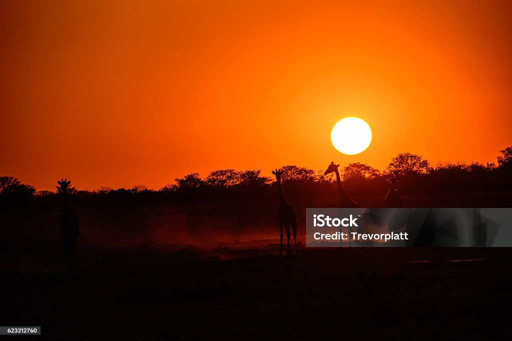 Etosha sunset Sunset at Okaukuejo waterhole in Etosha Namibia Stock Photo