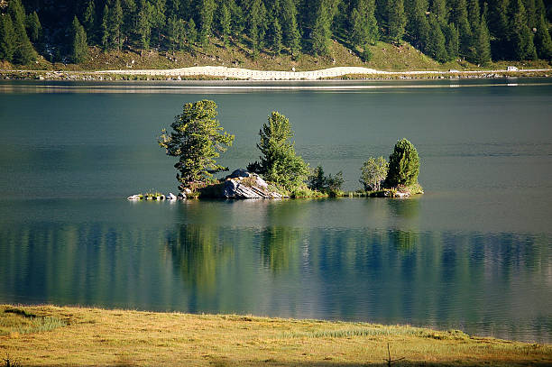 シルサーゼー湖シルス - エンガディン スイス - silsersee meadow engadine graubunden canton ストックフォトと画像