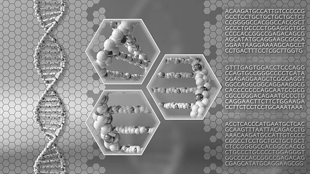 istock DNA molecules gray background. Genetic research, modern medicine or scanning 623215652