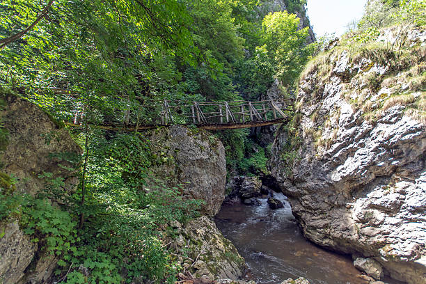 istock Landscape with Wooden bridge over river, Erma River Gorge 623269638