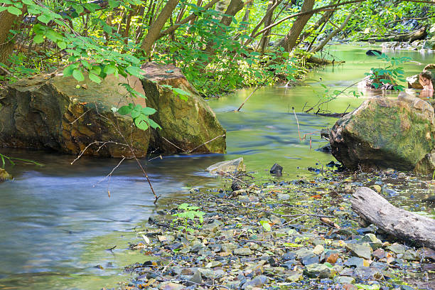 istock Creek flowing through the green grove, photographed 623270178