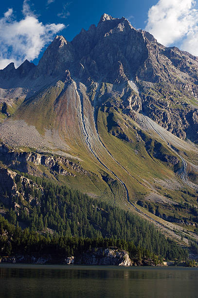 швейцарские альпы и озеро силс - энгадин швейцария - silsersee meadow engadine graubunden canton стоковые фото и изображения