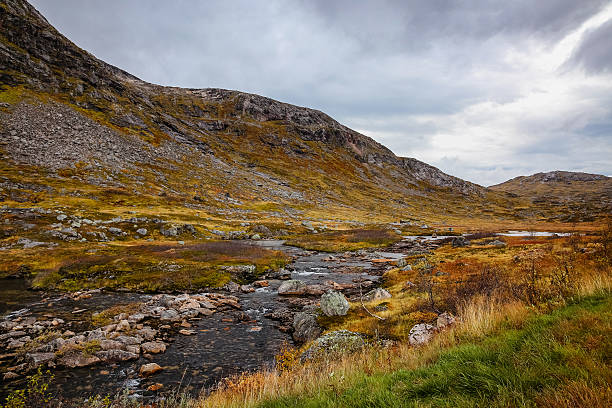 istock Nature in Norway, Senja island 623274578
