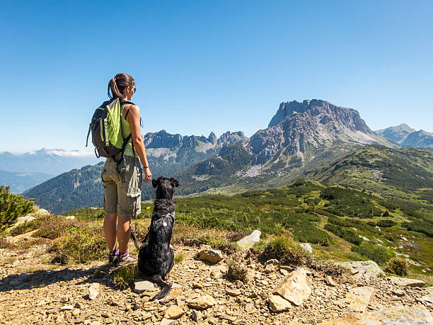 bella donna godendo la vista con il cane in montagna - european alps women summer outdoor pursuit foto e immagini stock