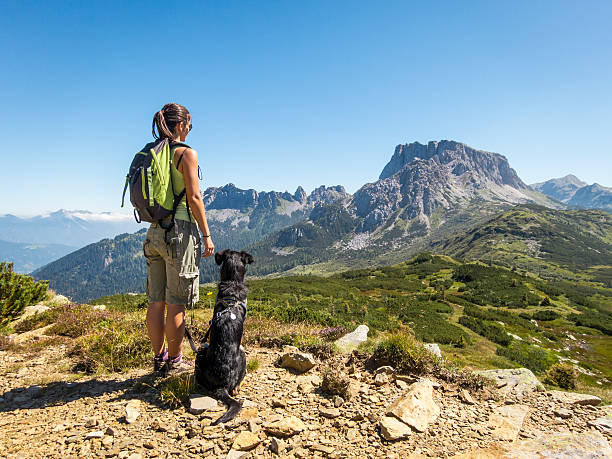 piękna kobieta ciesząc się widokiem z psem w górach - european alps women summer outdoor pursuit zdjęcia i obrazy z banku zdjęć