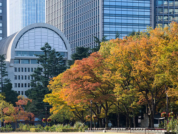 istock Autumn Hibiya Park 623280142
