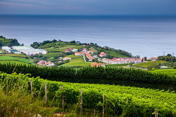 istock The vineyards of  Getaria 623280342