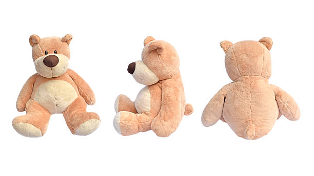 istock Close up group of brown teddy bear on white 623280612