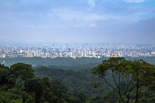 istock Sao Paulo from Sierra Cantareira 623281304