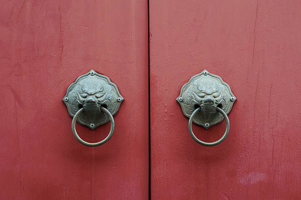 istock Ancient architecture doornail and door knocker 623281574