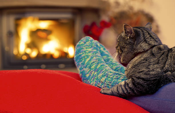 istock Woman relaxes by warm fire and gray cat . 623283372
