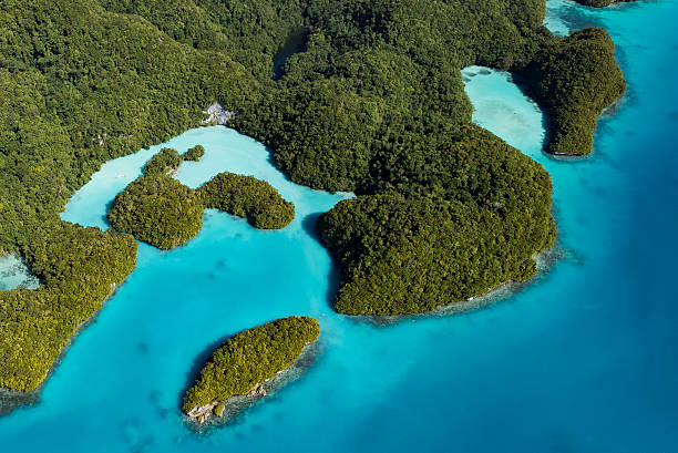 Palau Milky Way (Cove of natural luxury cosmetics) stock photo