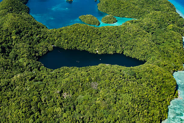 istock Palau Jellyfish Lake 623284148