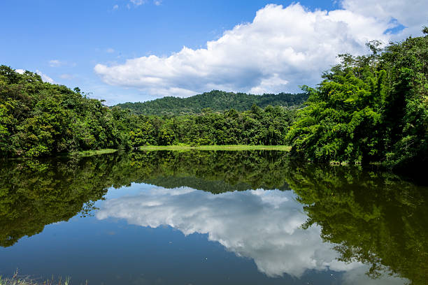 istock Lack of water 623286854