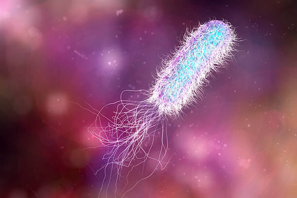 Bacterium Pseudomonas aeruginosa Bacterium Pseudomonas aeruginosa on colorful background, antibiotic-resistant nosocomial bacterium, 3D illustration. Illustration shows polar location of flagella and presence of pili on the bacterial surface cell flagellum stock pictures, royalty-free photos & images