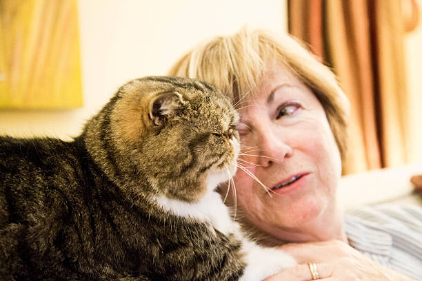 istock Senior woman with persian cat 623289842
