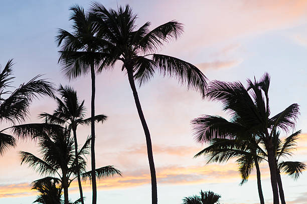 istock Beautiful Sunrise Over Tropical Beach 623293246