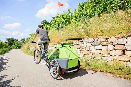 Young parent cycling through vineyards with bike trailer