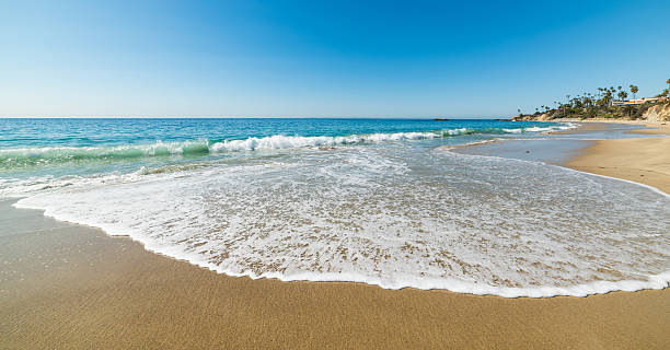 istock golden shore in Laguna Beach 623293400