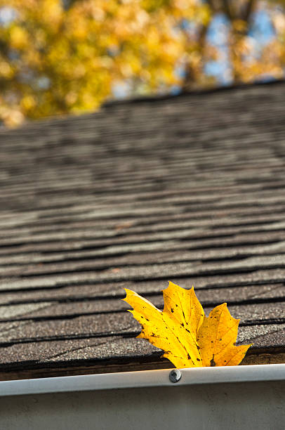 istock Fall leaf in gutter of residential house 623293690