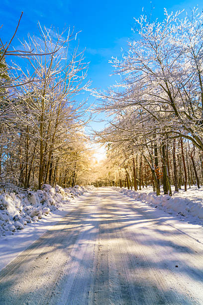 istock Mountain road in Japan 623294138
