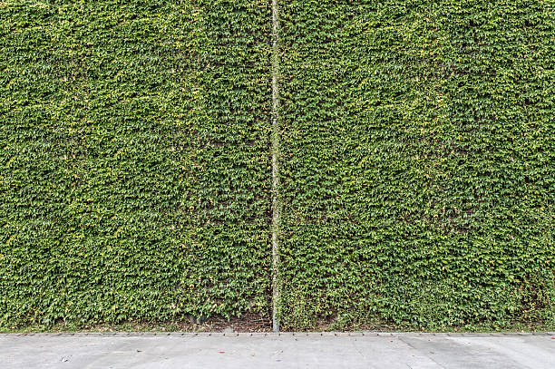 istock Large blank billboard on a street wall 623304482