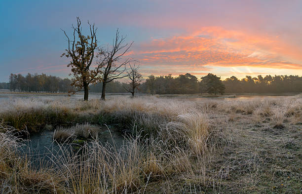 istock Winter sunrise in Netherland 623307952