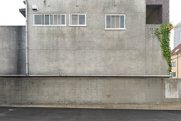 istock Large blank billboard on a street wall 623343846