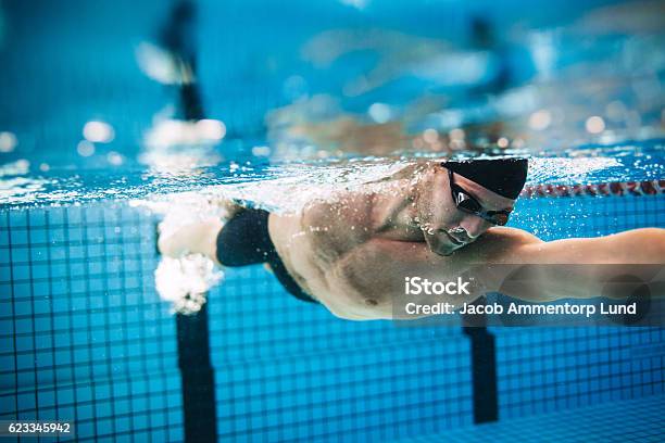 Professionelle Männliche Sportler Schwimmen Im Pool Stockfoto und mehr Bilder von Schwimmen