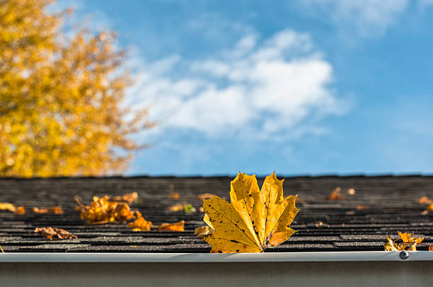 Fall leaves on roof and gutter of residential home stock photo