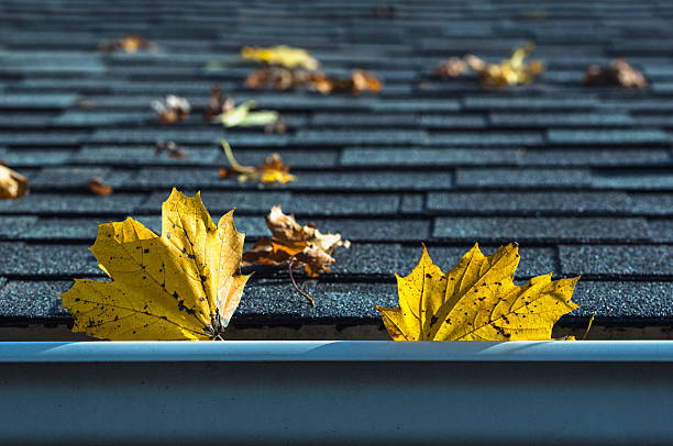 istock Fall leaves in gutter and on the roof 623348118