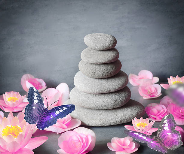 istock stones balance with flower lily and butterfly on grey background 623349330