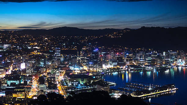 istock Wellington, New Zealand at Blue Hour 623351426