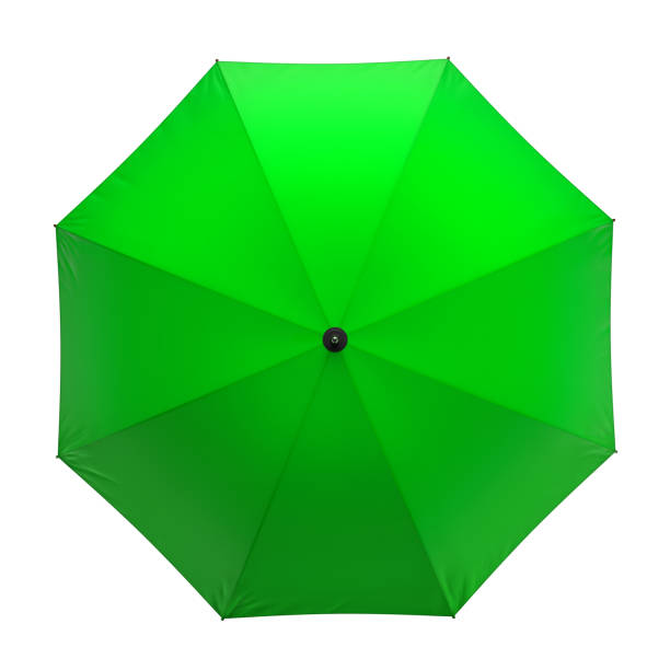 istock Green umbrella isolated on white background. 3D illustration . 623351482
