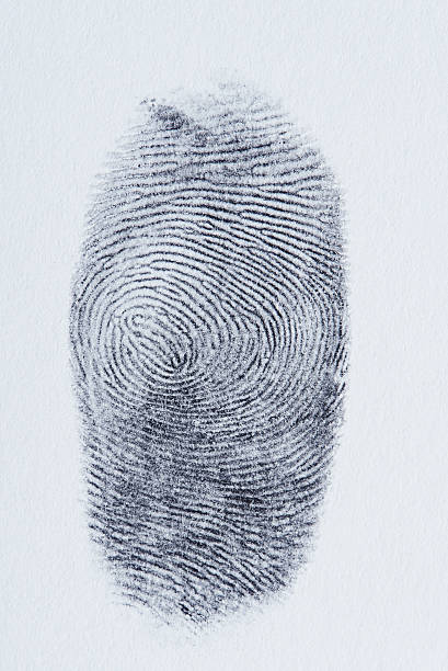 istock Macro of black fingerprint 623353176