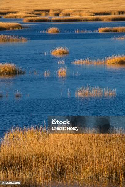 Warm Glow Of Sunset On Marsh At Milford Point Connecticut Stock Photo - Download Image Now