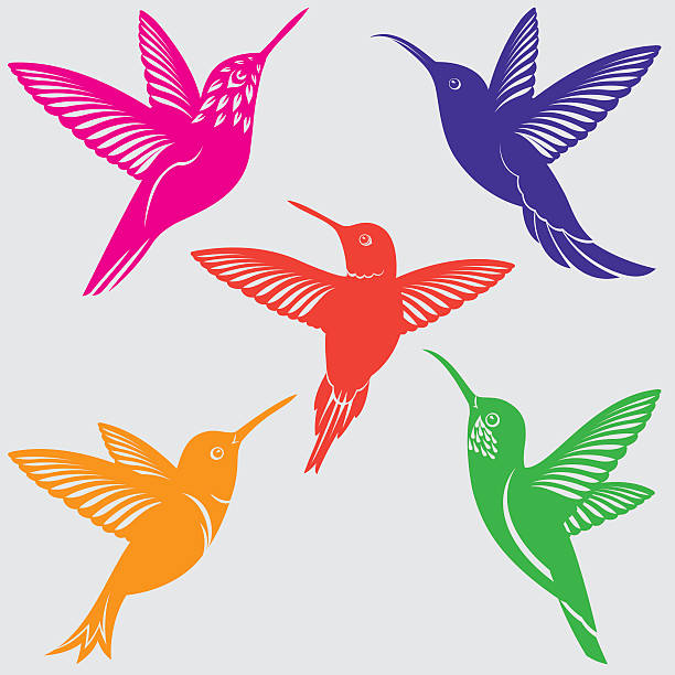 ilustrações de stock, clip art, desenhos animados e ícones de hummingbirds silhouettes set - bird hummingbird flying annas hummingbird