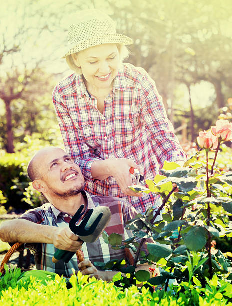 高齢者のカップル後に花庭の - senior adult couple care spring ストックフォトと画像