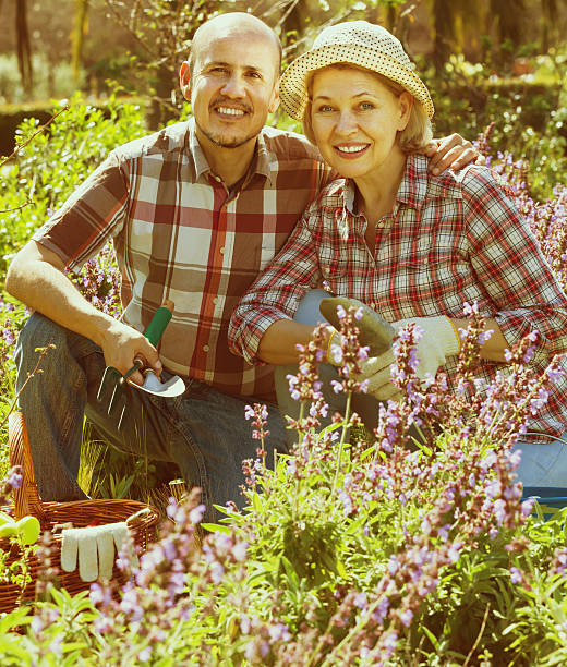 ガーデニングに従事す�るシニアカップル - senior adult couple care spring ストックフォトと画像