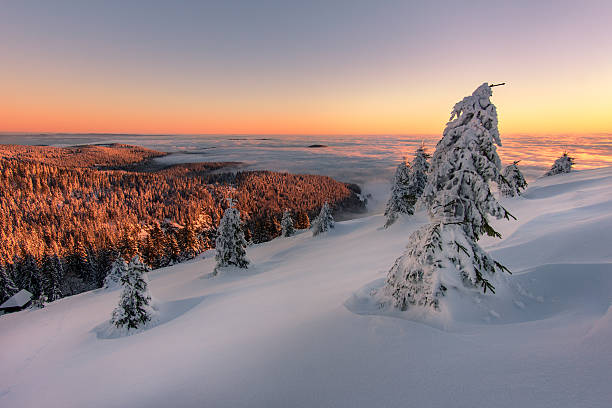 sonnenaufgang an einem wintermorgen im schwarzwald - black forest fotos stock-fotos und bilder