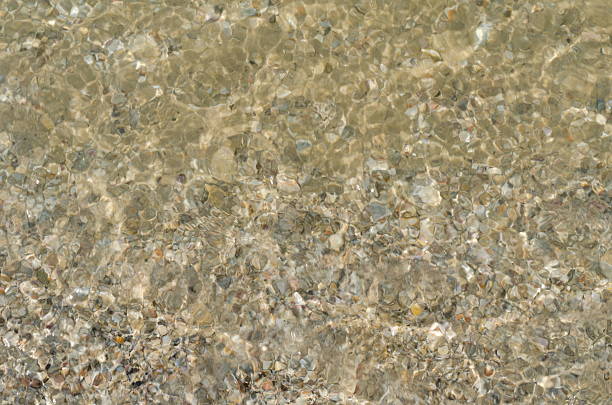 Background of sea sand beach and tiny sea shells