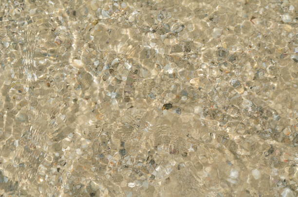 istock Background of sea sand beach and tiny sea shells 623360788