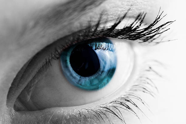 istock Female blue eye macro shot 623362510