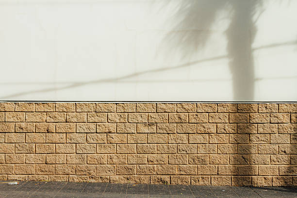 White wall with slabs with shade of a palm tree