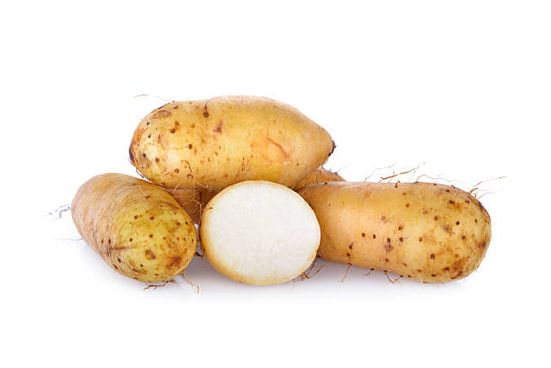 istock raw potato Dioscorea  burmanica or 