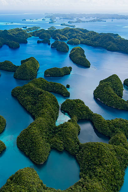 istock Marine Lake - Palau 623373922