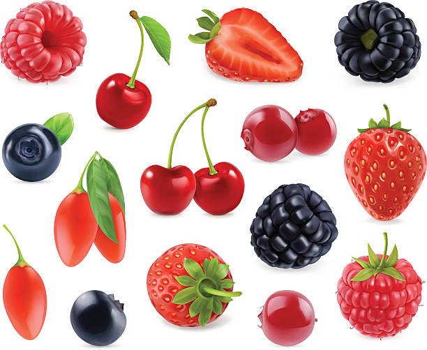 숲 베리. 3d 벡터 아이콘 세트입니다. 사실적인 일러스트레이션 - blueberry fruit berry fruit food stock illustrations