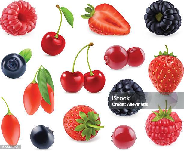 Forest Berry 3d Vector Icons Set Realistic Illustration Stock Illustration - Download Image Now