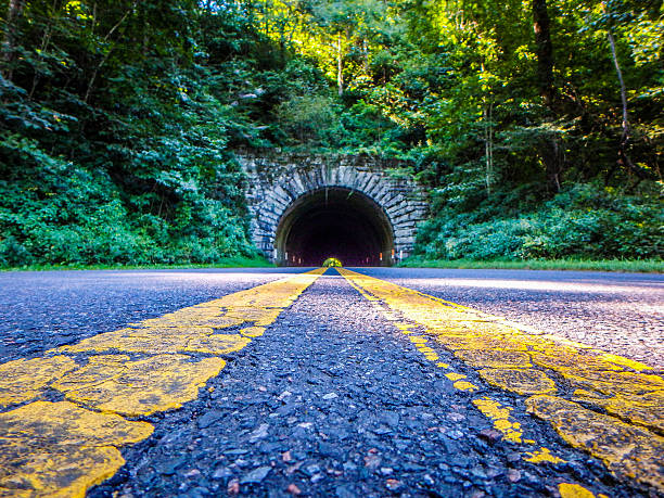 tunnel, der zum blauen gratparkführt führt - mount mitchell stock-fotos und bilder