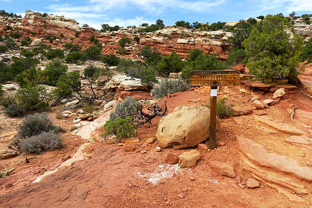 Cassidy Arch Trail Trail sign along the Cassidy Arch Trail at Capitol Reef National Park garfield county montana stock pictures, royalty-free photos & images